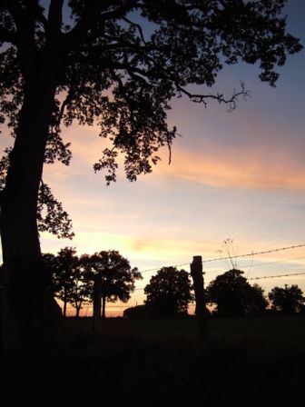 retour_de_la_Grande_courbe (9).jpg